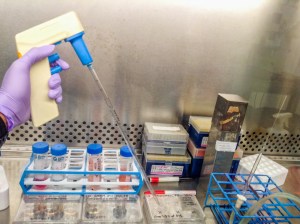 An interesting moment before a media change.