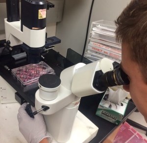 Scott Voulgaris, 2014 CIRM Creativity Lab Student