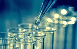 shutterstock_182164514