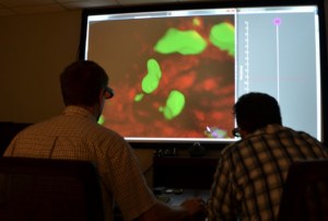 Researchers at Drexel touring a group of cells using 3D glasses.