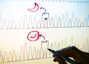 Correcting the genetic error in sickle-cell disease might be as simple as editing the text.