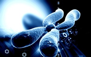 Stanford scientists have found a way to temporarily extend the life of an aging cell.