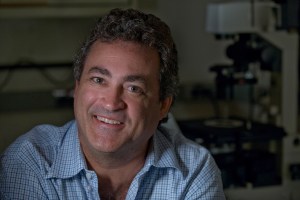 uci_news_image_limoli