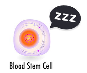 HSCs_Sleeping_graphic100x100