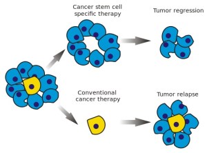 Cancer_stem_cells