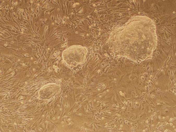 Blog CAF -1 105305_web