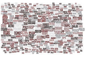 Protein word art