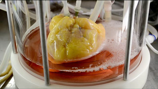 Screen Shot 2016-03-15 at 9.22.17 AM