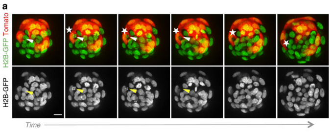 Screen Shot 2016-03-30 at 11.25.43 AM.png