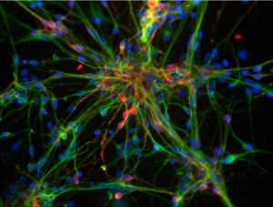 4093259323_32082865d7