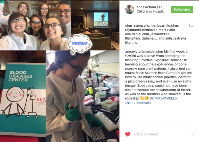 Screen Shot 2016-07-13 at 11.15.14 AM