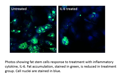 wael-diabetes-article