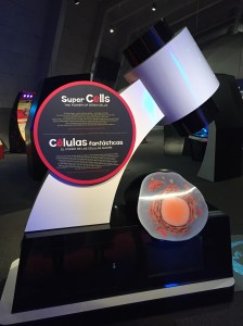 Super Cells exhibit at the Lawrence Hall of Science