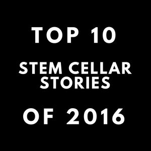 stem-cellar-stories