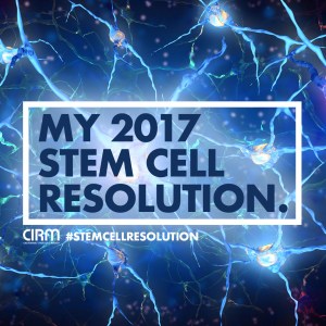 insta_scresolution_neurons