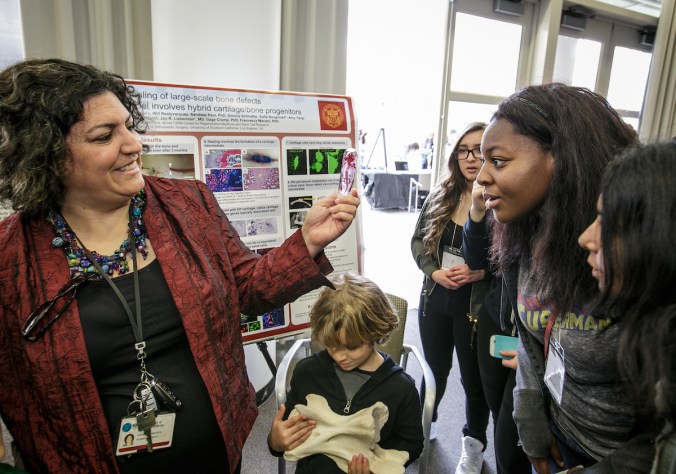 Dr. Francesca Mariana shows off a mouse skeleton that has been dyed to show bones and cartilage at the Stem Cell Day of Discovery event held at the USC Health Sciences Campus in Los Angeles, CA. February 4th, 2017. The event encourages students to learn more about STEM opportunities, including stem cell study and biotech, and helps demystify the fields and encourage student engagement. Photo by David Sprague