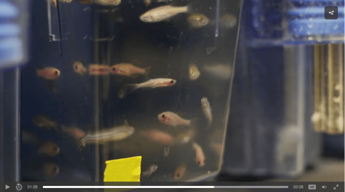 Screen Shot 2017-05-05 at 9.57.16 AM