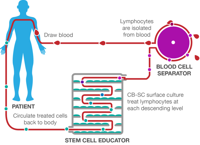 Stem+Cell+Educator+Therapy+Process