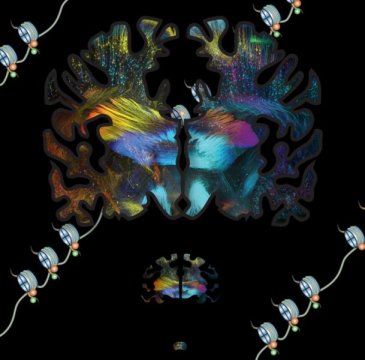 180111115351_1_540x360