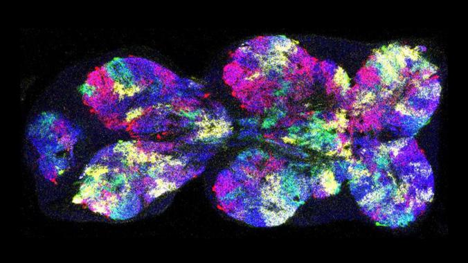 Mann-SC-Hero-01-19-18