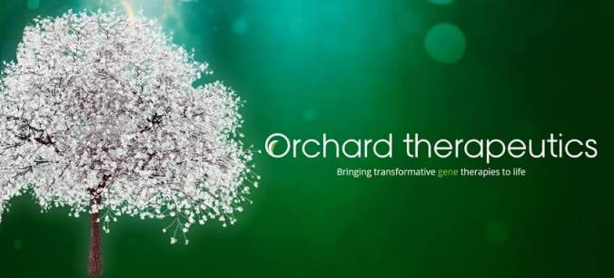 Orchard