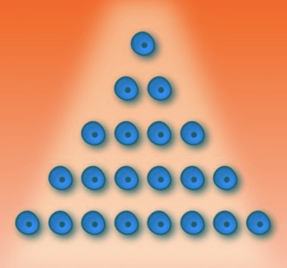 Screen Shot 2018-08-07 at 10.19.30 AM