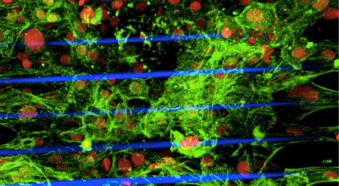 Screen Shot 2018-09-24 at 9.45.49 AM