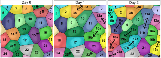 Screen Shot 2018-10-03 at 9.42.02 AM