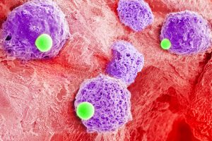 two-cells-in-one-featured-300x200